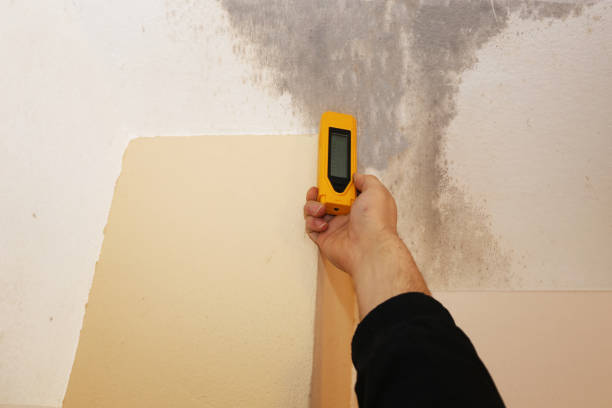 Best Crawl Space Mold Remediation  in Becker, MN