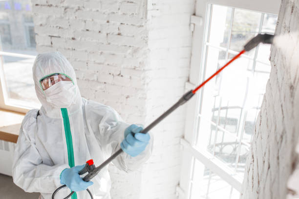 Mold Removal for HVAC Installations in Becker, MN