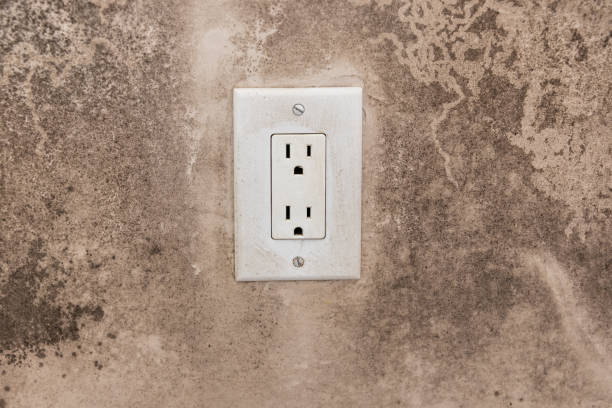 Best Mold Removal for HVAC Installations  in Becker, MN